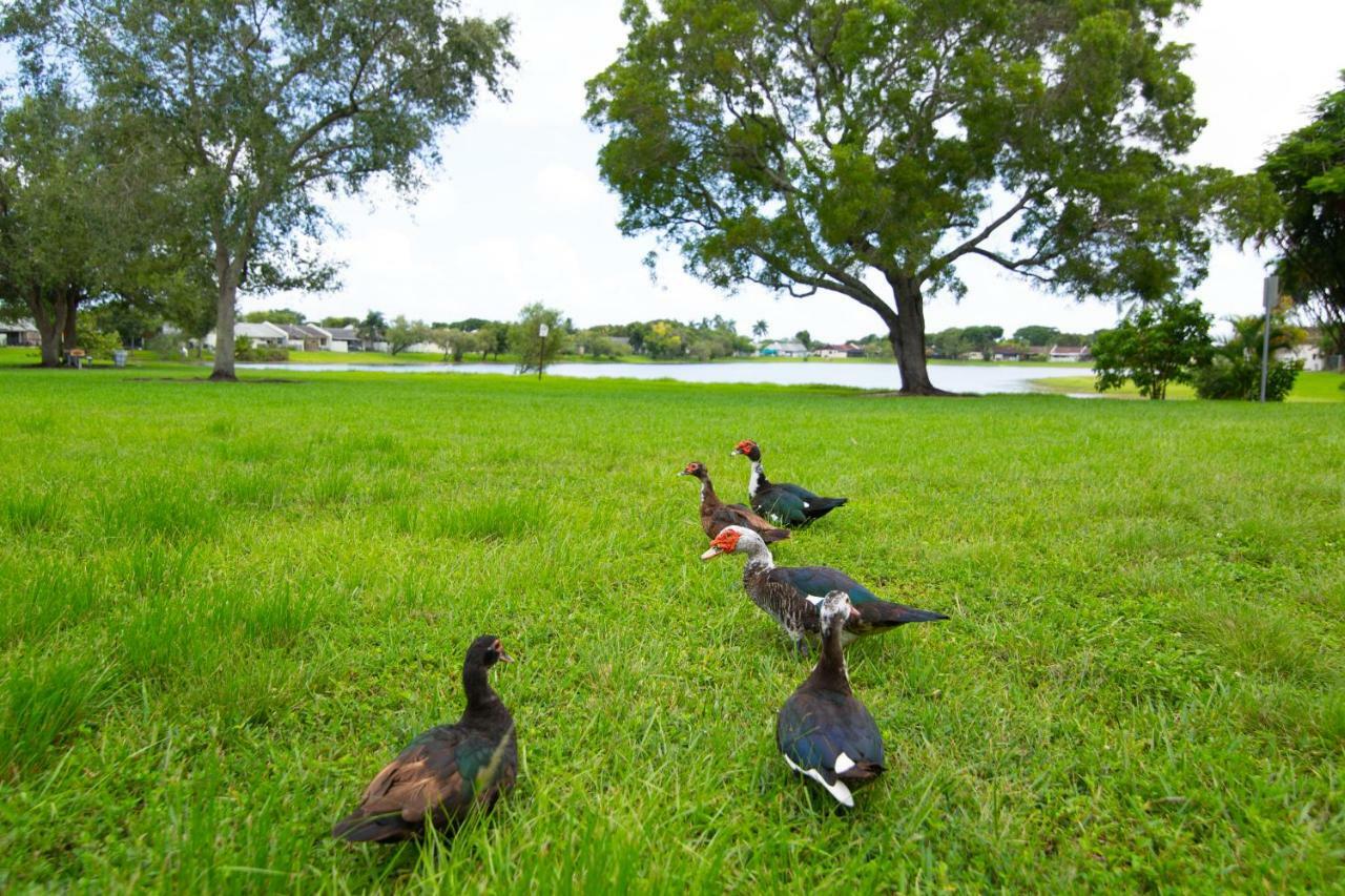 Miami Nice Apartment ภายนอก รูปภาพ